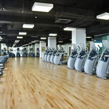 2018年健身器材市場概覽 批發報價與選購指南（第六頁）